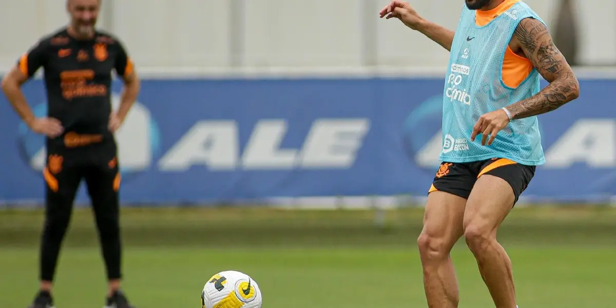 Ele é um dos principais jogadores em sua função no Brasil